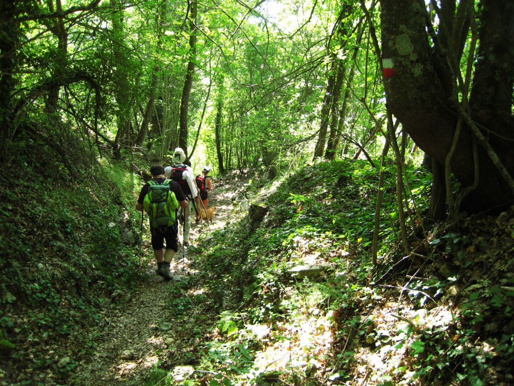 Bolognola> Itinerario da Pintura a Garulla lungo la vecchia strada -  SibilliniWeb.it