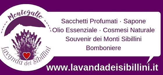 Lavanda dei Sibillini di Montegallo sui Monti Sibillini