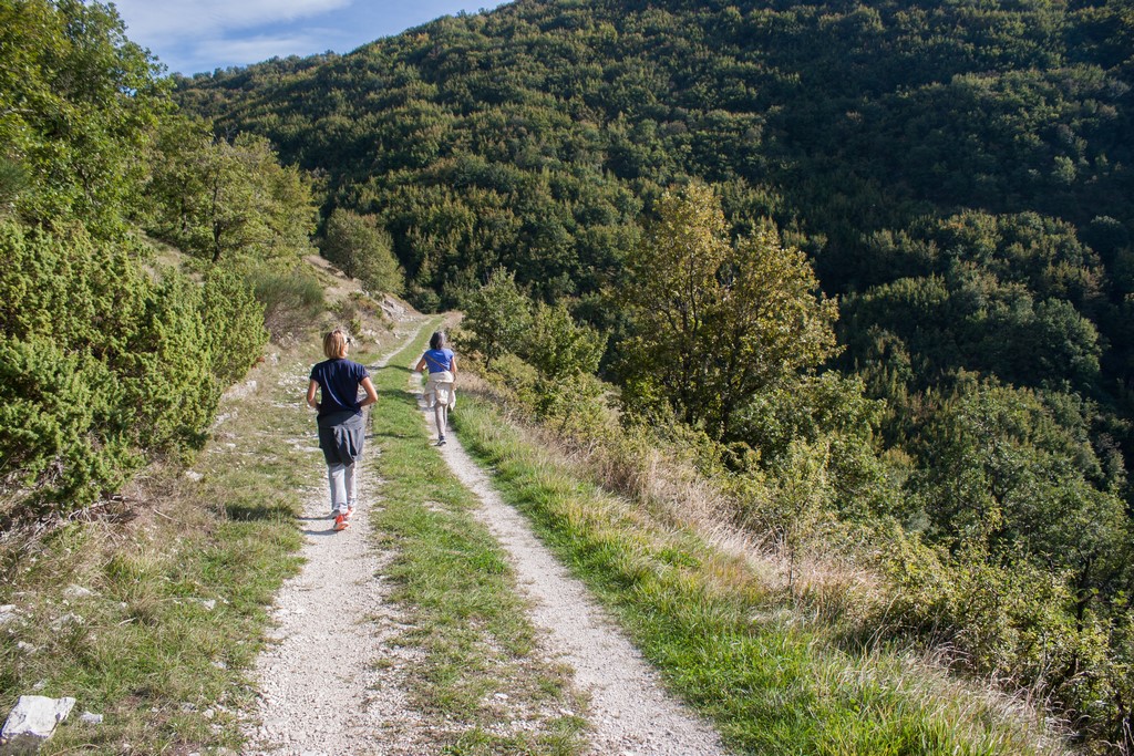 Escursione tra torrenti, boschi e panorami…al tramonto Mercoledì 16 Agosto
