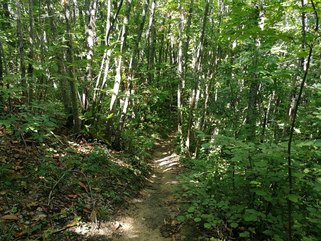Trekking Anello da Montefalcone Appennino a Smerillo e Sapori d’Autunno Domenica 8 Ottobre