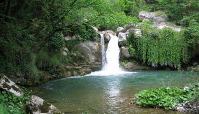 Attraversiamo la Foresta di San Gerbone Domenica 4 Novembre