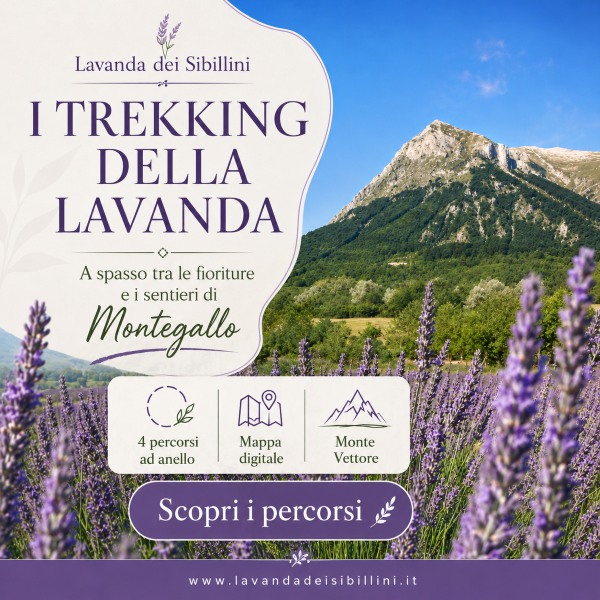 Trekking della Lavanda dei Sibillini