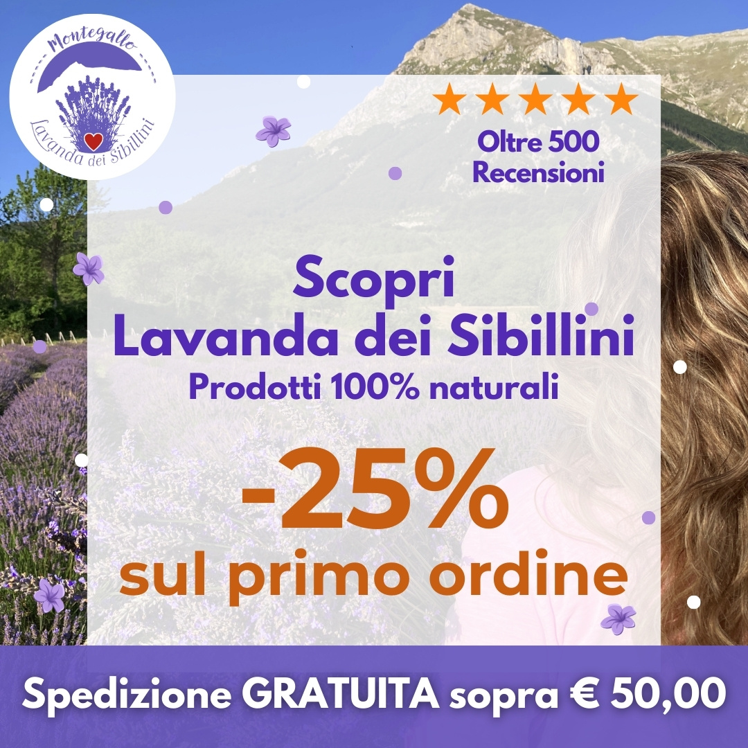 Lavanda dei Sibillini
